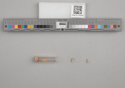 NSF ADBC EPICC TCN