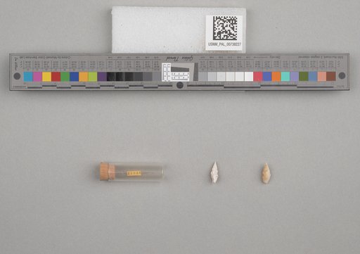 NSF ADBC EPICC TCN