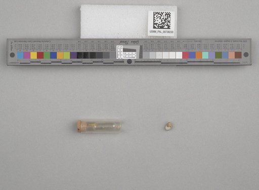 NSF ADBC EPICC TCN