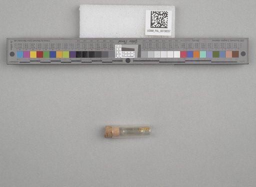 NSF ADBC EPICC TCN