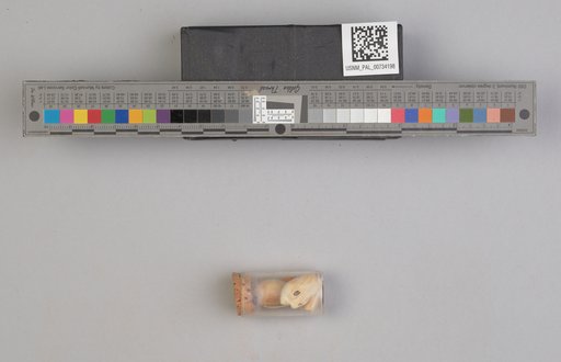 NSF ADBC EPICC TCN