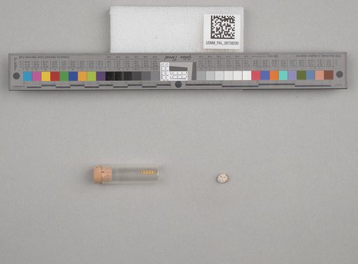 NSF ADBC EPICC TCN