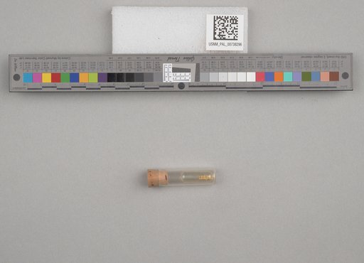NSF ADBC EPICC TCN