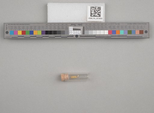 NSF ADBC EPICC TCN