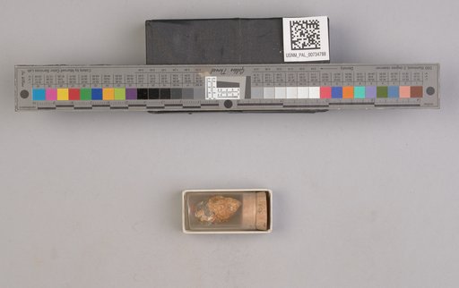 NSF ADBC EPICC TCN