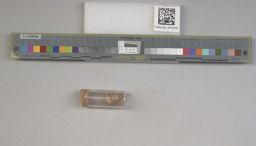 NSF ADBC EPICC TCN