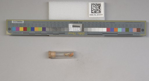 NSF ADBC EPICC TCN