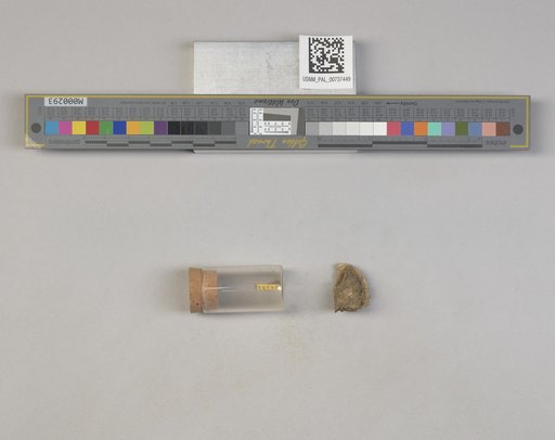 NSF ADBC EPICC TCN