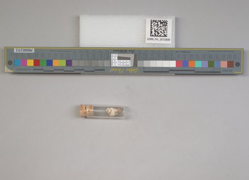 NSF ADBC EPICC TCN