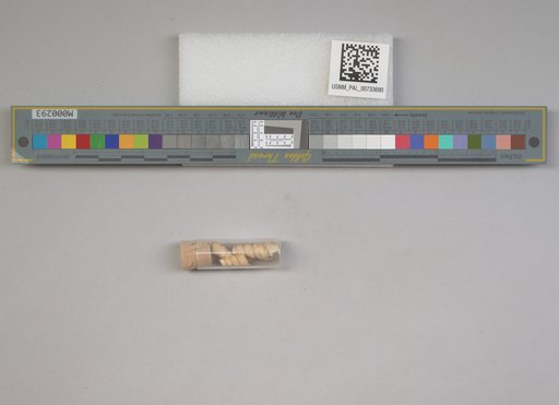 NSF ADBC EPICC TCN