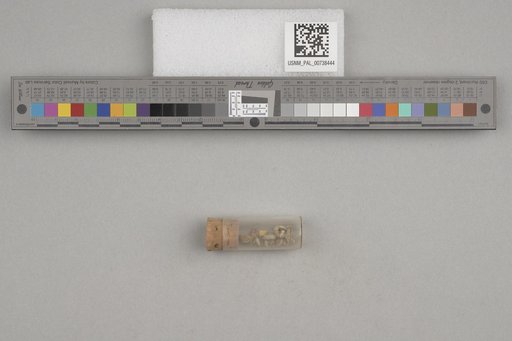 NSF ADBC EPICC TCN