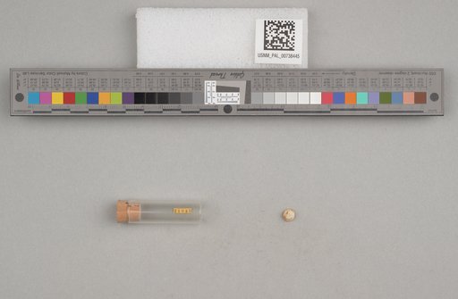 NSF ADBC EPICC TCN