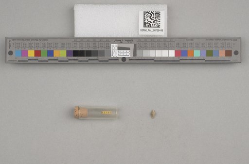 NSF ADBC EPICC TCN