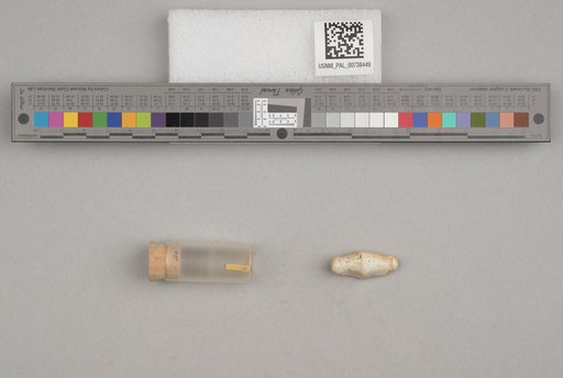 NSF ADBC EPICC TCN