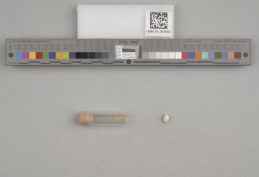 NSF ADBC EPICC TCN