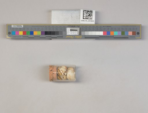 NSF ADBC EPICC TCN