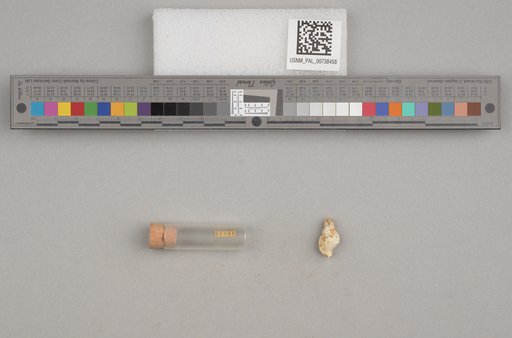 NSF ADBC EPICC TCN
