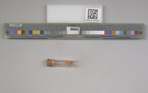 NSF ADBC EPICC TCN