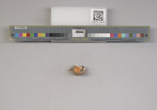 NSF ADBC EPICC TCN