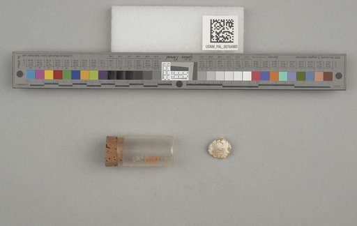 NSF ADBC EPICC TCN