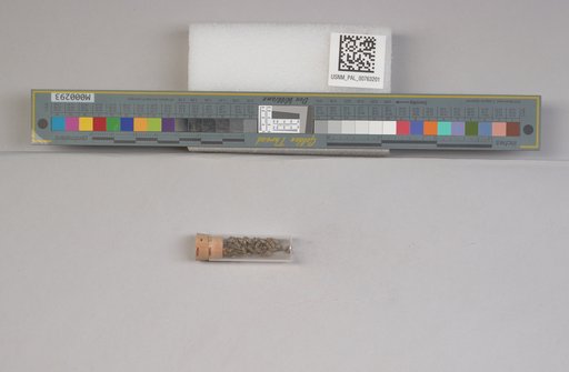 NSF ADBC EPICC TCN
