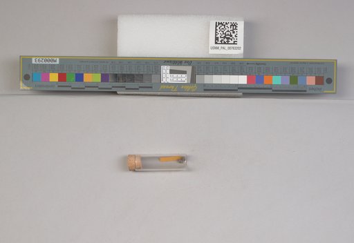 NSF ADBC EPICC TCN