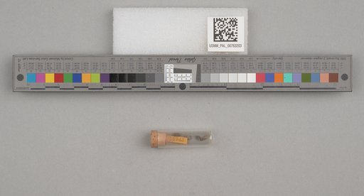 NSF ADBC EPICC TCN