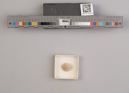 NSF ADBC EPICC TCN