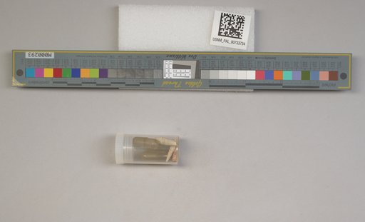NSF ADBC EPICC TCN