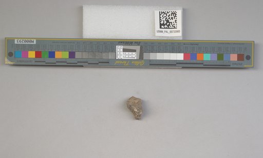 NSF ADBC EPICC TCN