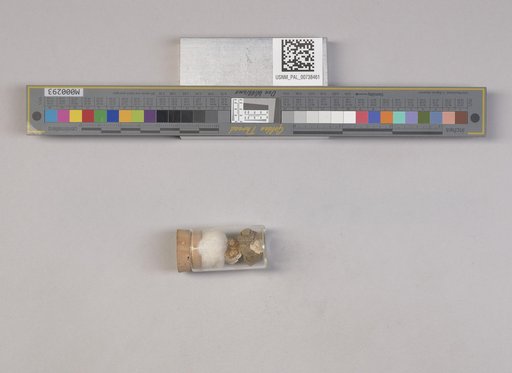 NSF ADBC EPICC TCN