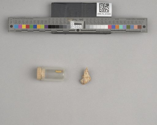 NSF ADBC EPICC TCN