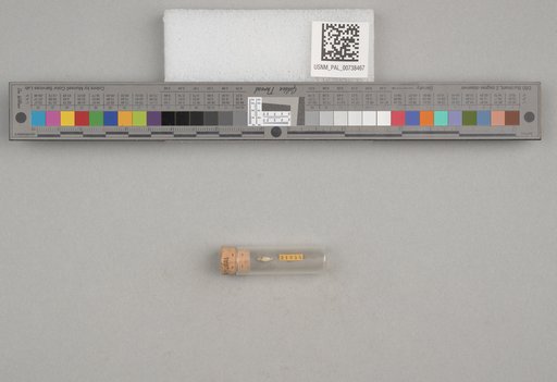 NSF ADBC EPICC TCN