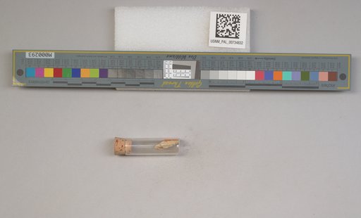 NSF ADBC EPICC TCN