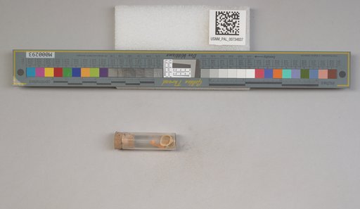 NSF ADBC EPICC TCN