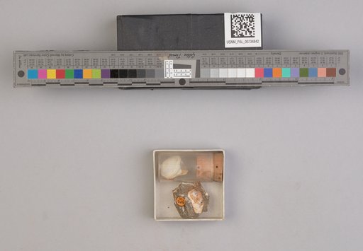 NSF ADBC EPICC TCN