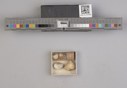NSF ADBC EPICC TCN