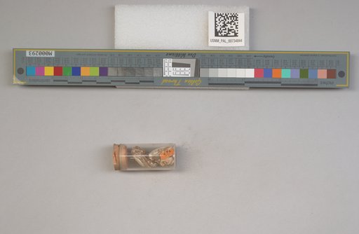 NSF ADBC EPICC TCN