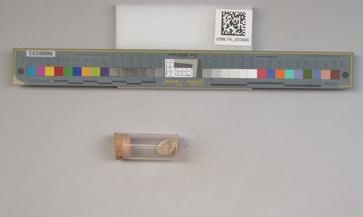 NSF ADBC EPICC TCN
