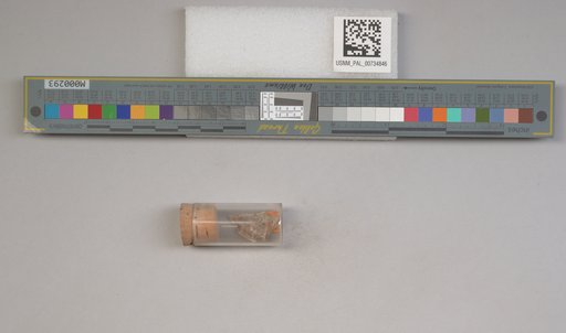 NSF ADBC EPICC TCN