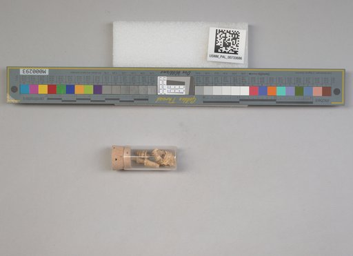 NSF ADBC EPICC TCN