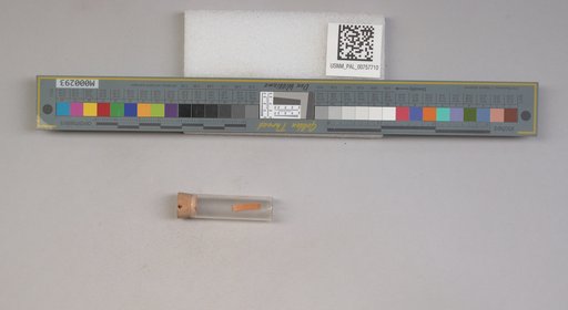 NSF ADBC EPICC TCN