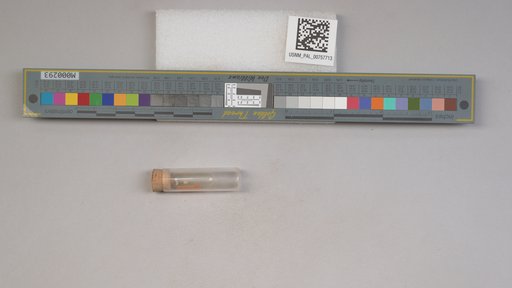 NSF ADBC EPICC TCN