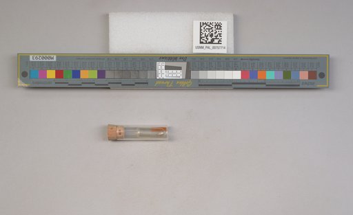 NSF ADBC EPICC TCN