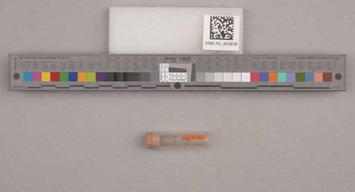 NSF ADBC EPICC TCN