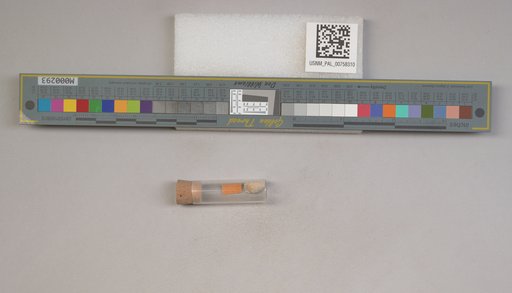 NSF ADBC EPICC TCN