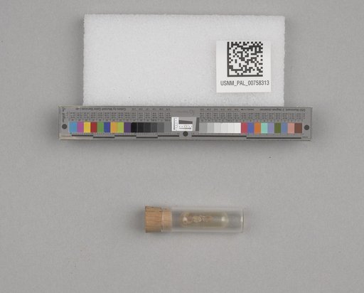 NSF ADBC EPICC TCN