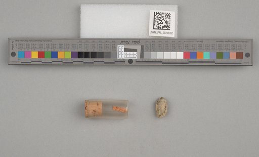 NSF ADBC EPICC TCN