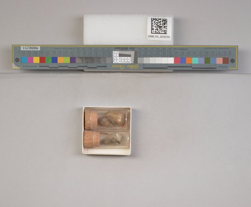 NSF ADBC EPICC TCN