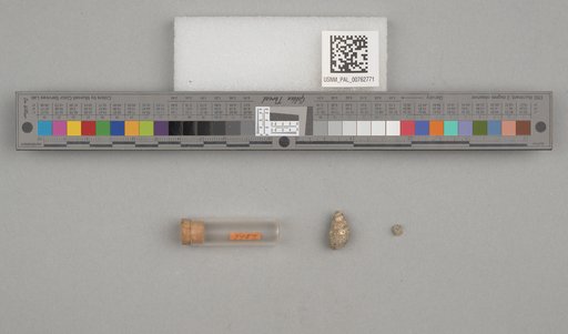 NSF ADBC EPICC TCN